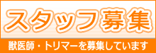 スタッフ募集