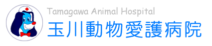 玉川動物愛護病院
